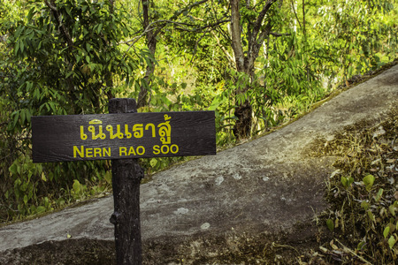 Phuhinrongkla National Park,THAILAND Jan 26 2015:\"The beauty of natural stone forest views\"Phuhinrongkla National Park,Thailand.のeditorial素材