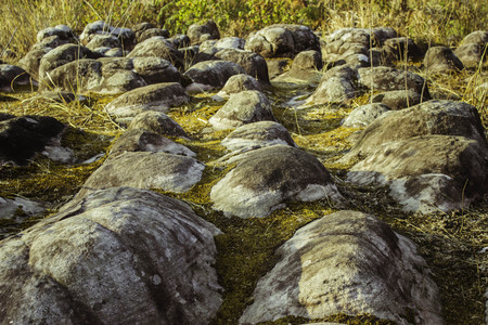 Phuhinrongkla National Park,THAILAND Jan 26 2015:\"The beauty of natural stone forest views\"Phuhinrongkla National Park,Thailand.のeditorial素材