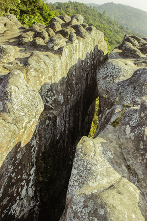 Phuhinrongkla National Park,THAILAND Jan 26 2015:\"The beauty of natural stone forest views\"Phuhinrongkla National Park,Thailand.のeditorial素材