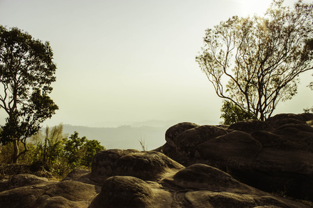 Phuhinrongkla National Park,THAILAND Jan 26 2015:\"The beauty of natural stone forest views\"Phuhinrongkla National Park,Thailand.のeditorial素材