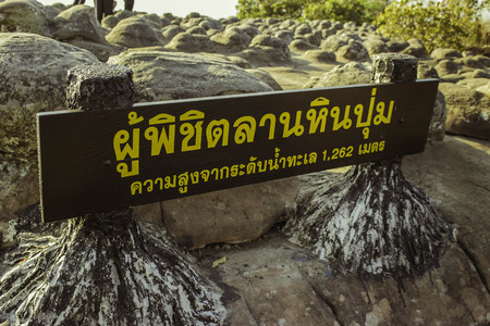 Phuhinrongkla National Park,THAILAND Jan 26 2015:\"The beauty of natural stone forest views\"Phuhinrongkla National Park,Thailand.のeditorial素材