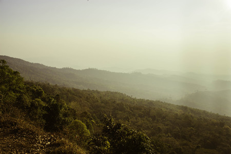 Phuhinrongkla National Park,THAILAND Jan 26 2015:\"The beauty of natural stone forest views\"Phuhinrongkla National Park,Thailand.のeditorial素材