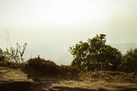 Phuhinrongkla National Park,THAILAND Jan 26 2015:\"The beauty of natural stone forest views\"Phuhinrongkla National Park,Thailand.のeditorial素材
