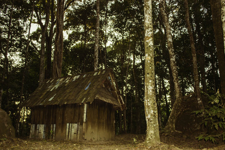 Phuhinrongkla National Park,THAILAND Jan 26 2015:\"The beauty of natural stone forest views\"Phuhinrongkla National Park,Thailand.のeditorial素材