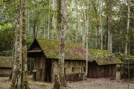 Phuhinrongkla National Park,THAILAND Jan 26 2015:\"The beauty of natural stone forest views\"Phuhinrongkla National Park,Thailand.のeditorial素材