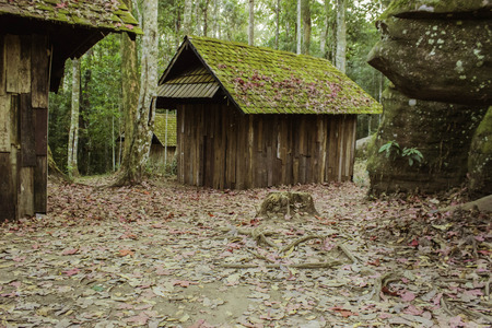 Phuhinrongkla National Park,THAILAND Jan 26 2015:\"The beauty of natural stone forest views\"Phuhinrongkla National Park,Thailand.のeditorial素材