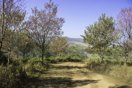 Phulomlo,THAILAND Jan 27 2015:\"Views of the mountains and mountain roads.\" Loei,Thailand.のeditorial素材