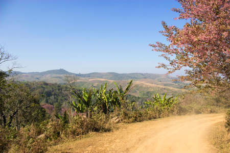 Phulomlo,THAILAND Jan 27 2015:\"Views of the mountains and mountain roads.\" Loei,Thailand.のeditorial素材