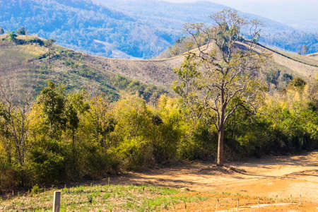 Srinan,THAILAND Jan 28 2015:\"Hilly Landscape\" Nan,Thailand.のeditorial素材