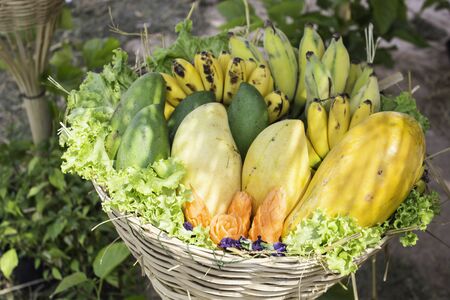 Fruits, vegetables and herbs, Thailandの写真素材