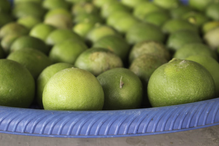 Lemon juice in a plastic trayの写真素材