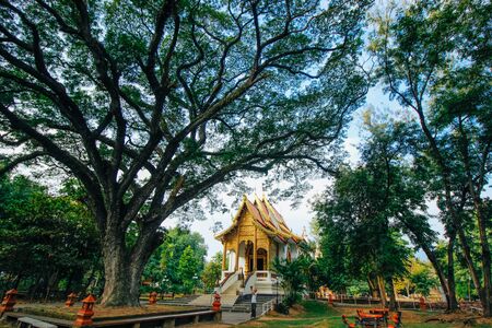 wad-jedyoud 18 December 2015:"Thailand temple art " Chiang Mai Thailandのeditorial素材