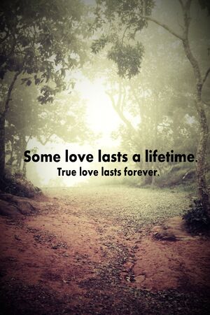 love quote on blurred background with vintage filter