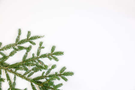 Fir branch on white background. Christmas border with empty blank copy space for text.の写真素材