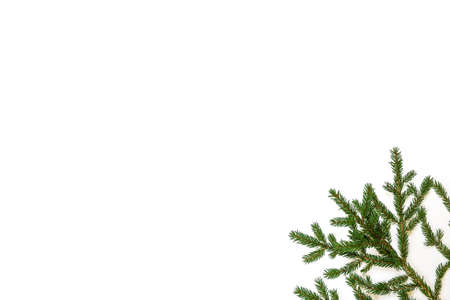 Fir branch / twig on white background. Christmas border with empty blank copy space for text.の写真素材