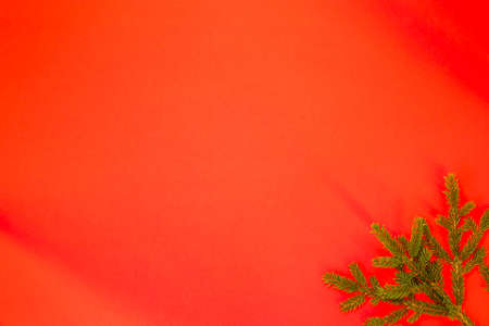 Fir branch / twig on red background. Christmas border with empty blank copy space for text.の写真素材