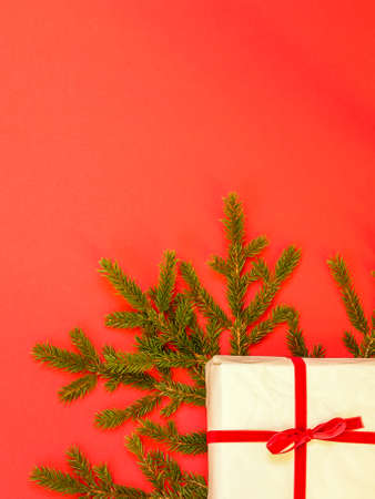 Fir branch / twig and christmas gift box on red background. Christmas border with empty blank copy space for text.の写真素材