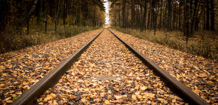 Old railway made for steam powered locomotives. Tracks covered with leaves in the autumn.