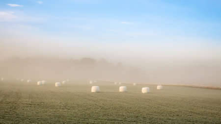 Foggy landscape. Hay bales wrapped with white plastic scattered in a farmer's field. Misty early morning.の写真素材