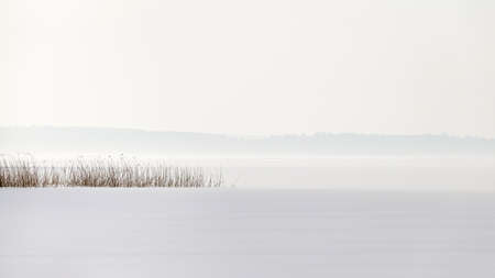 Reed point in a frozen lake with snow and a foggy horizon.の写真素材