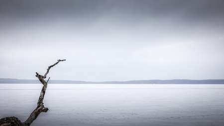A dead branch hangs out on a frozen lake with snow on.の写真素材