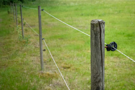 Electric fence around farm  / horse paddock. Copy space for text.の写真素材