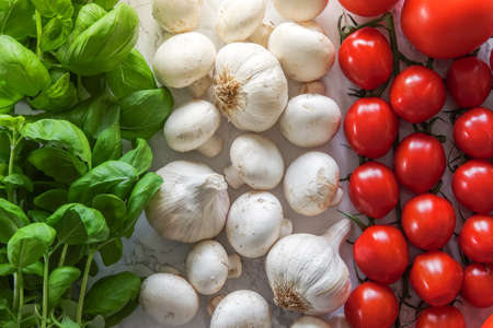 Italian flag made of ingredients for classic Italian food. Basil, mushrooms, garlic and tomatos.の写真素材