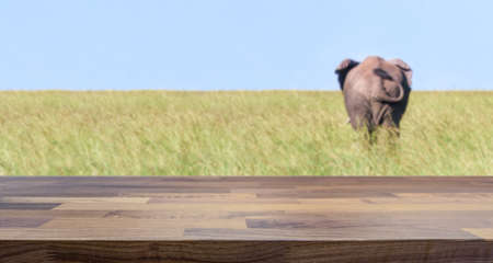 Empty table top for product display montage. Safari lodge concept and elephant blurred in the background.の写真素材