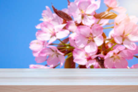 Empty table top for product display montage. Spring concept. Cherry tree flowers blurred in the background.の写真素材