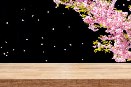 Cherry blossom tree in spring. Empty table top for product display montage.の写真素材