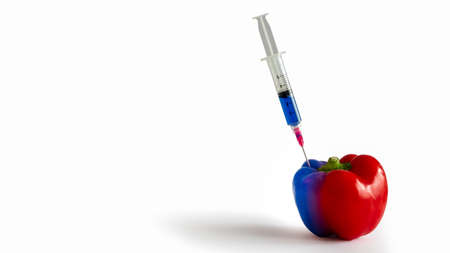 GMO, Genetically modified food. Blue and red pepper paprika vegetable. Copy spaceの写真素材