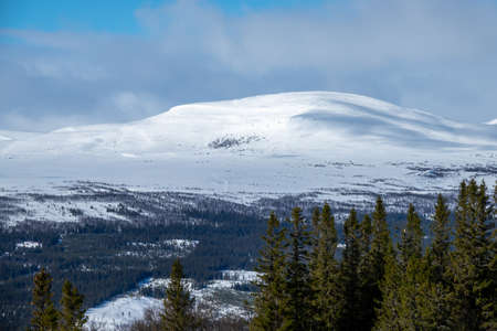 Winter landscape with snowy mountains in the background.の写真素材