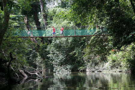 Hanging bridgeの写真素材
