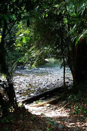 River beachの写真素材