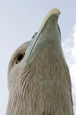 Eagleの写真素材