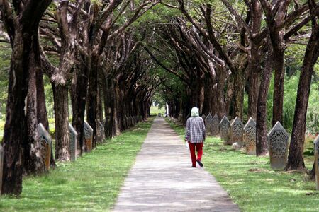 Path in a parkの写真素材
