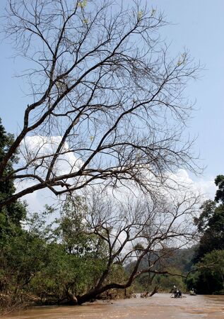 Riverの写真素材