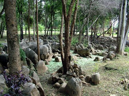Rock gardenの写真素材