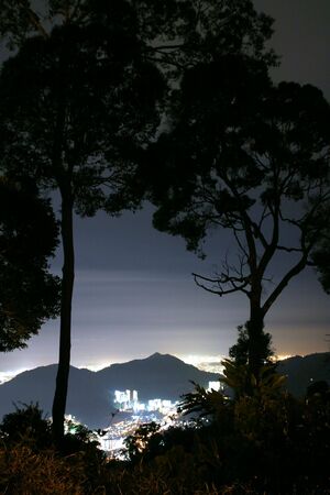 Night lifeの写真素材
