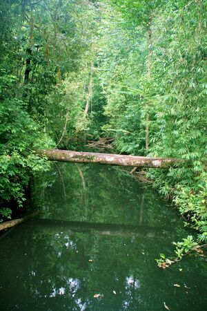 Bridgeの写真素材