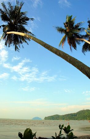 Coastの写真素材