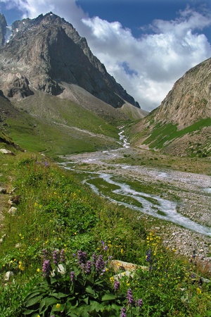 mountain gorge and wide stony river bed          の写真素材