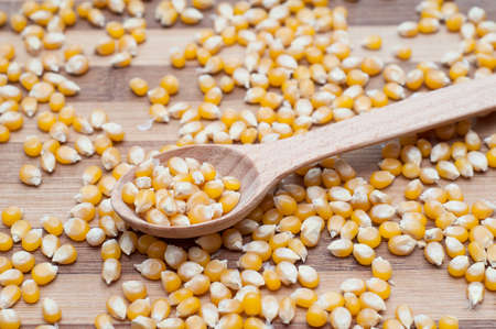 corn and spoonの写真素材