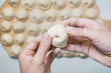 pelmeniの写真素材
