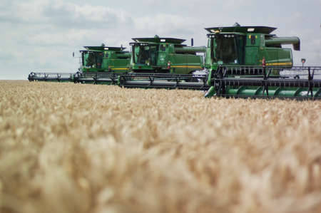 Harvestingのeditorial素材