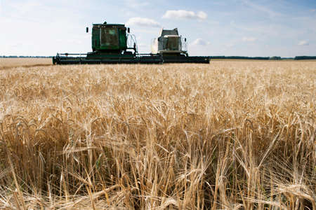 Harvesters in the fieldのeditorial素材