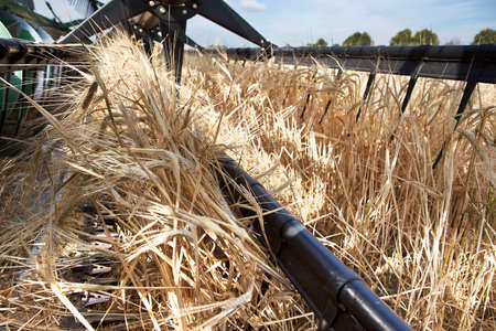 Harvesting