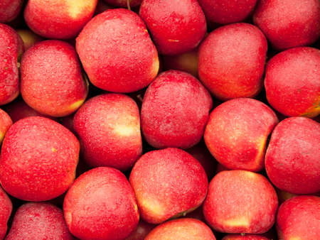 Appleの写真素材