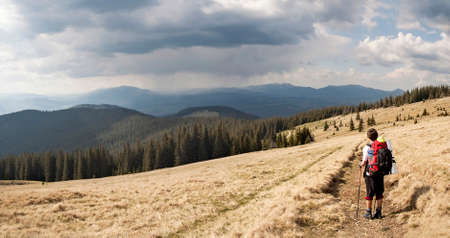 Travelerの写真素材