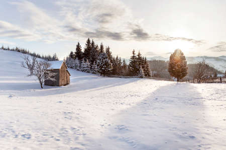 Snowy fieldの写真素材